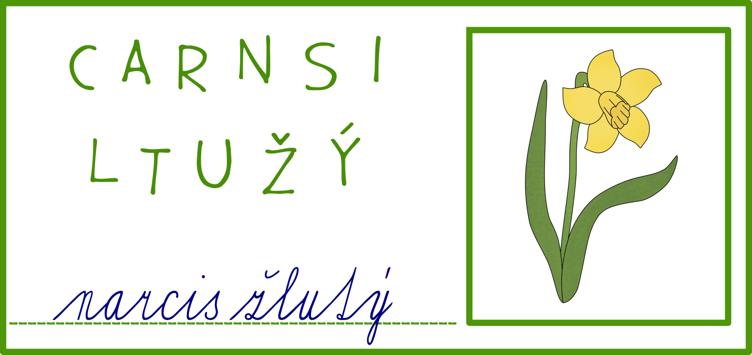 Jarní květiny - přesmyčky