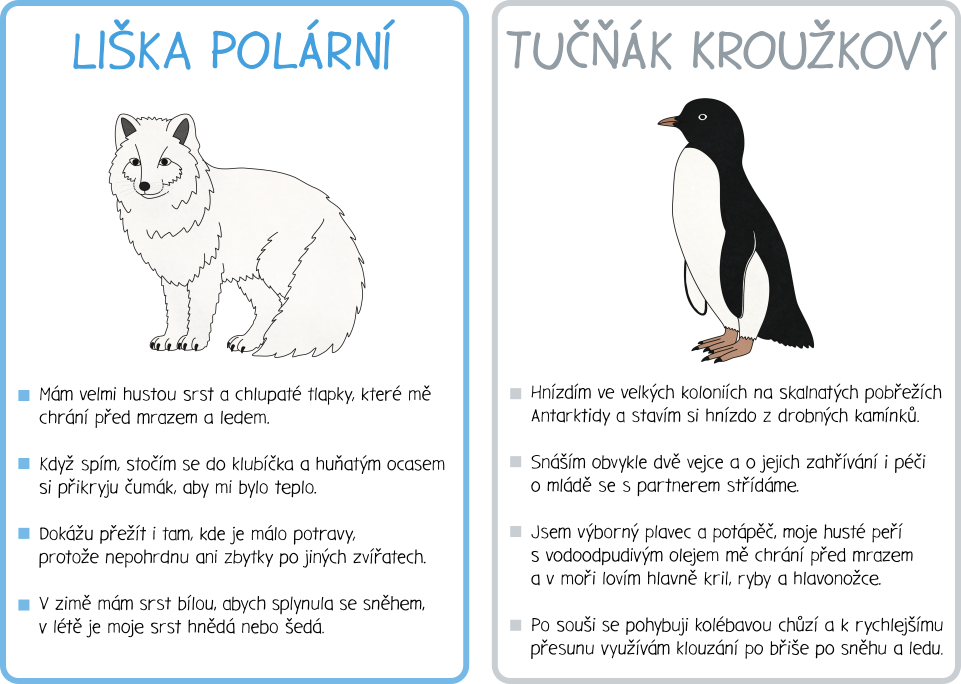 Informační karty Polární zvířata