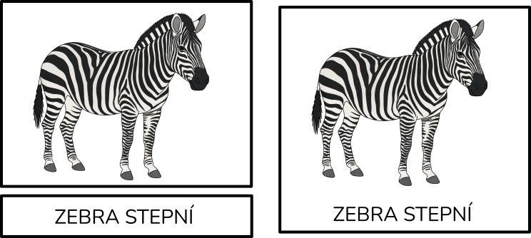 Třísložková karta Zvířata africké savany