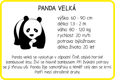 Zvířata světa - informační karty pro děti