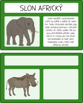 Přiřazovačka se zvířaty africké savany