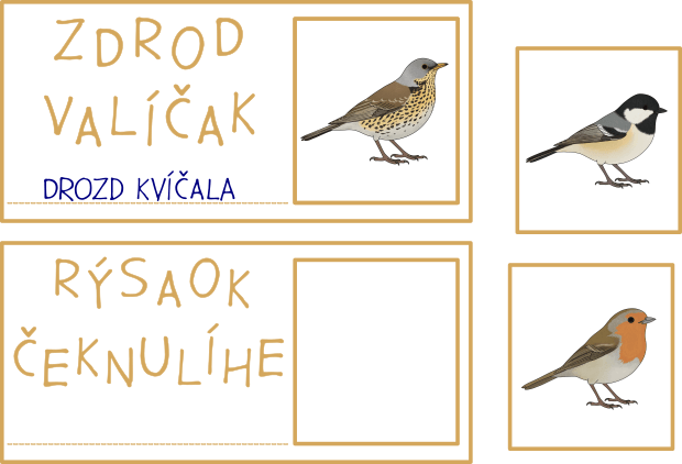 Ptačí přesmyčky