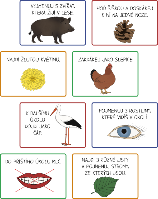 Ukázka karet