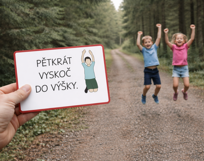 Fotka hry šipkovaná