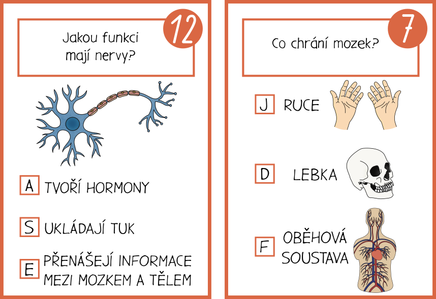 Stezka Lidské tělo pro děti