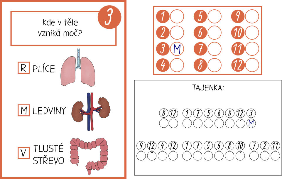 Stezka Lidské tělo tajenka
