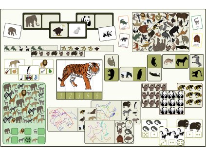 Zvířata světa hry a aktivity pro předškoláky