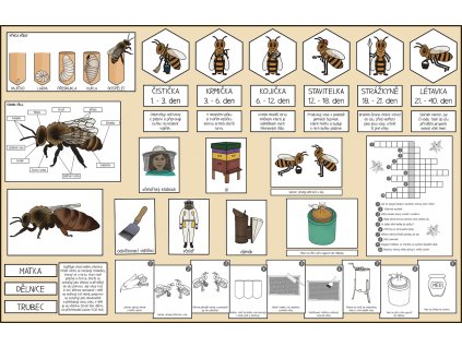 světový den včel aktivity pro děti