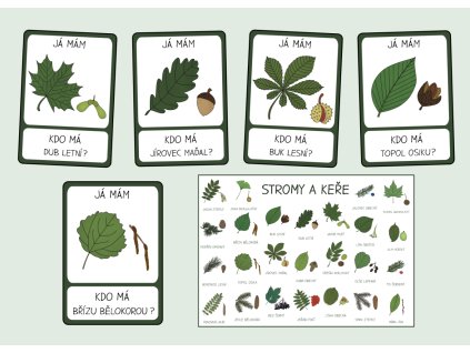 listy a plody stromu hra ja mam kdo ma