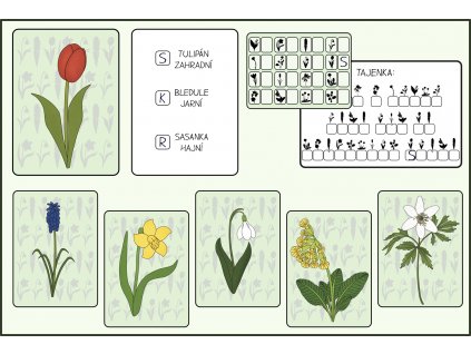 jarni kvetiny naucna bojovka pro deti s tajenkou