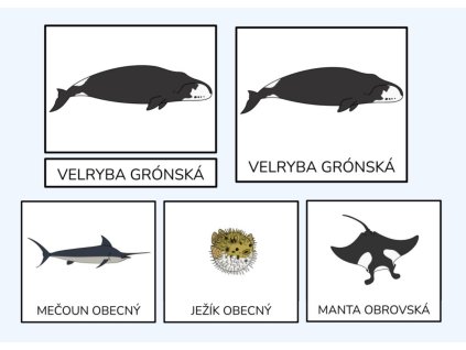 more trislozkove karty