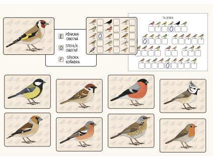 ptaci na krmitku poznavacka pro deti