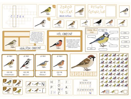 ptaci na krmitku aktivity pro deti