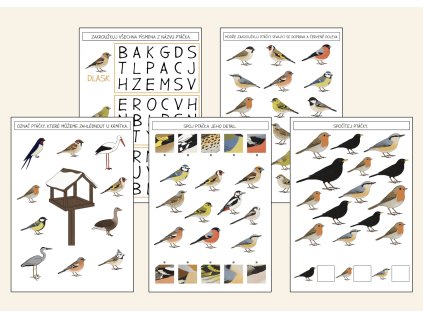 ptaci na krmitku pracovni listy predskolak