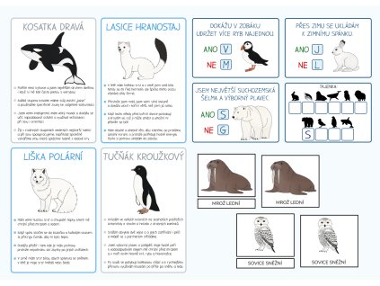 polarni zvirata zajimavosti pro deti