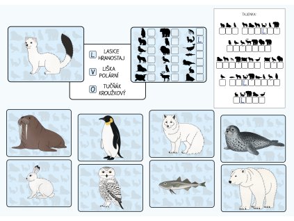 polarni zvirata poznavacka s tajenkou