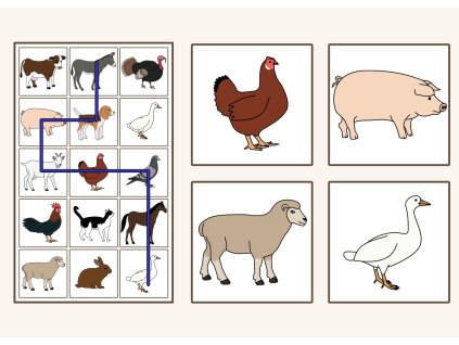 zvirata na statku cesticky pro deti ms