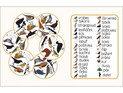 Ptáci - postřehová hra pro děti
