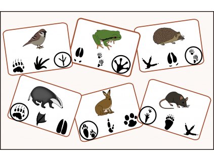 stopy zvířat - kolíčkovací karty pro děti