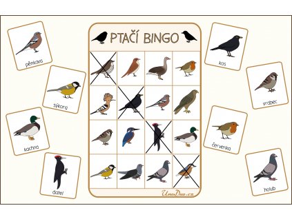 ptaci bingo