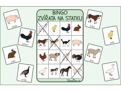 obrázkové bingo domácí zvířata