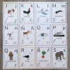 Abeceda pro děti karty