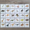 Třísložkové karty dinosauři