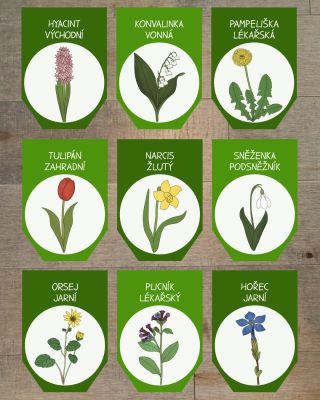 Jaro, které nikdy neuvadne. 🌷 Girlanda s jarními květinami promění dětský pokoj nebo třídu v barevnou jarní louku. Děti se...