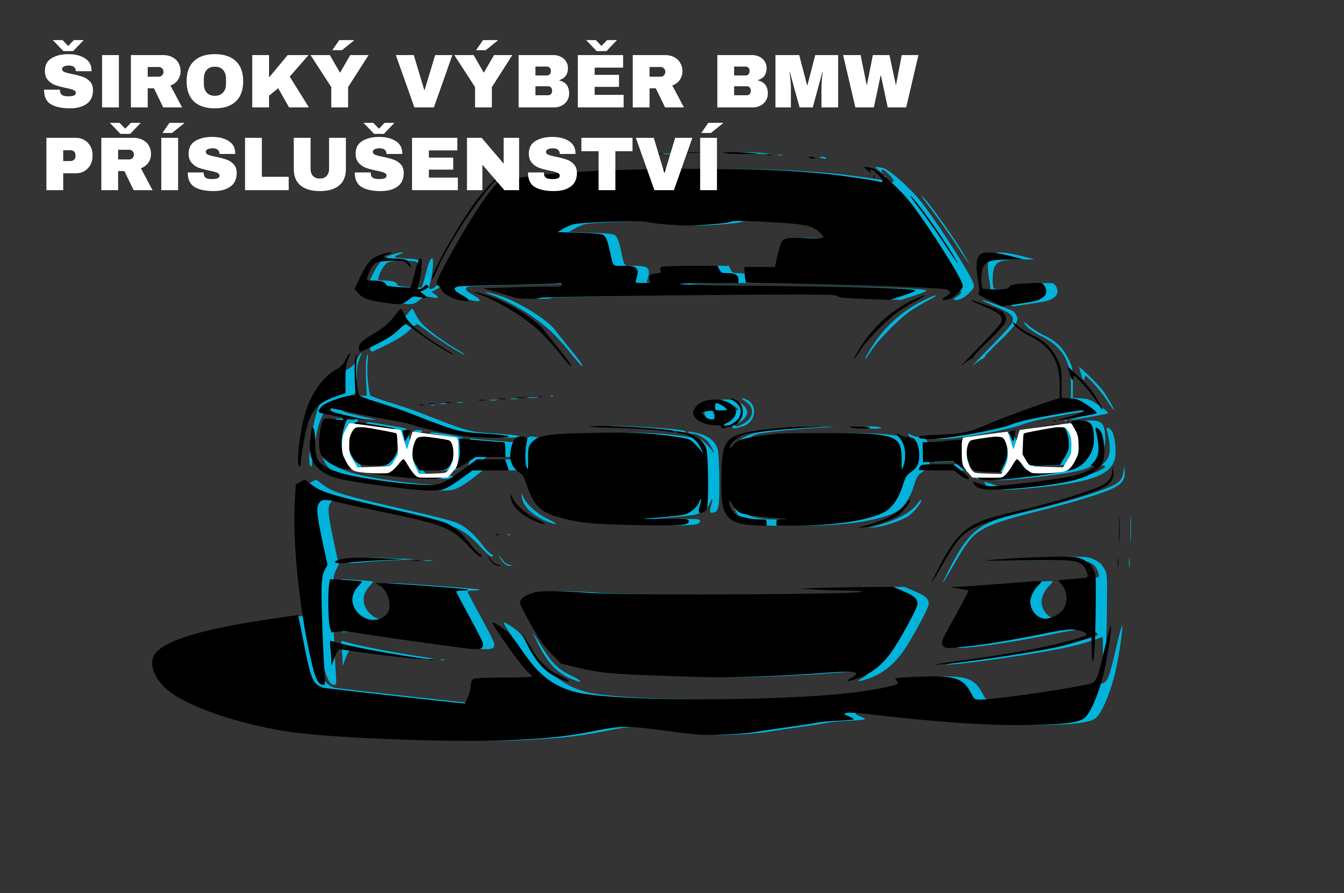 bmw grafika