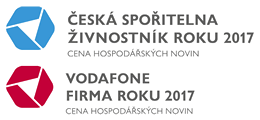 Vodafone firma roku 2017