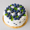 boruvkova pavlova