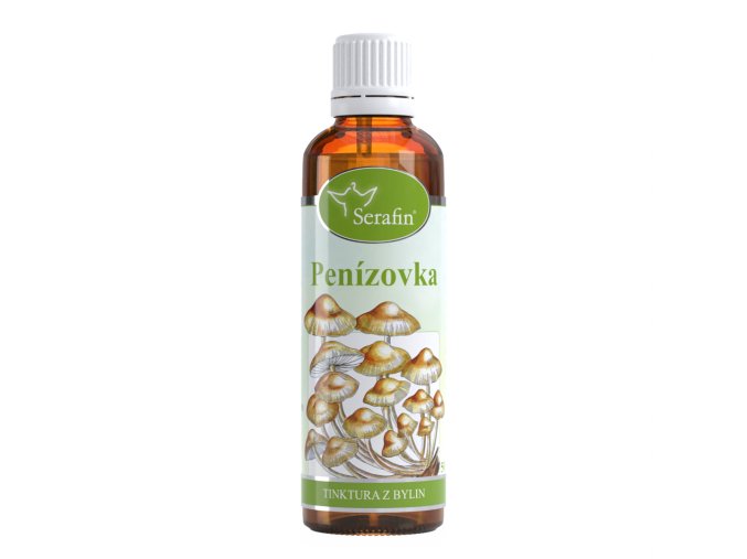 Penízovka – tinktura z bylin