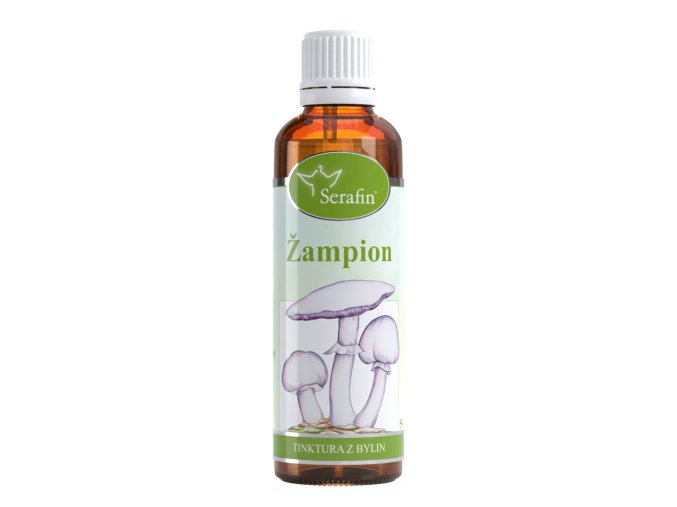 Žampion – tinktura z bylin