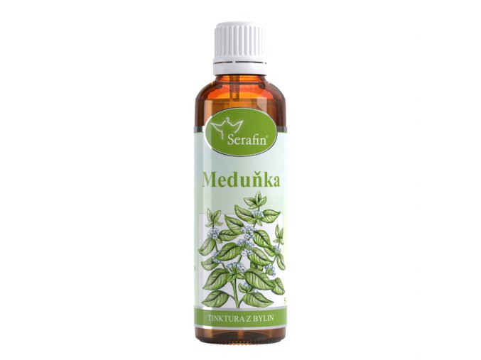 Meduňka – tinktura z bylin