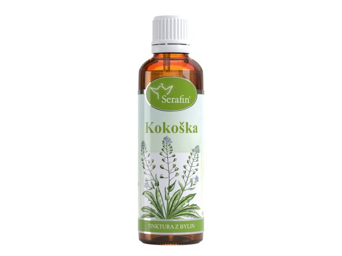 Kokoška – tinktura z bylin
