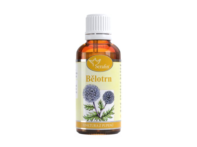 Bělotrn – tinktura z pupenů