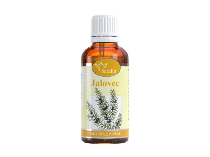 Jalovec – tinktura z pupenů