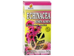 b echinacea koren 96040 (1)