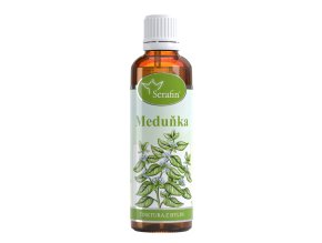 Meduňka – tinktura z bylin