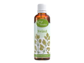 Svízel – tinktura z bylin