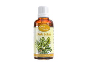 Dub – tinktura z pupenů
