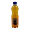 kombucha 05l cerny caj stev
