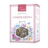 Čisté cévy