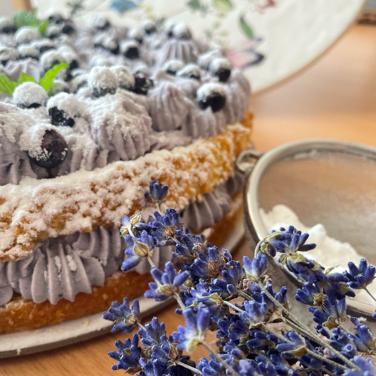 Borůvkový dort s mascarpone - jednoduchý recept s jemným borůvkovým krémem