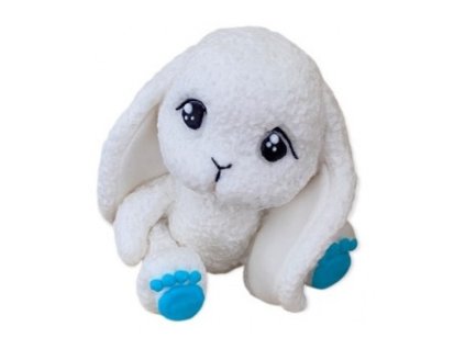 zajacikmodry 1000x664