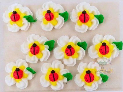 1 d5ec369a e6cb 4b02 8c7d 88b9e0810db9