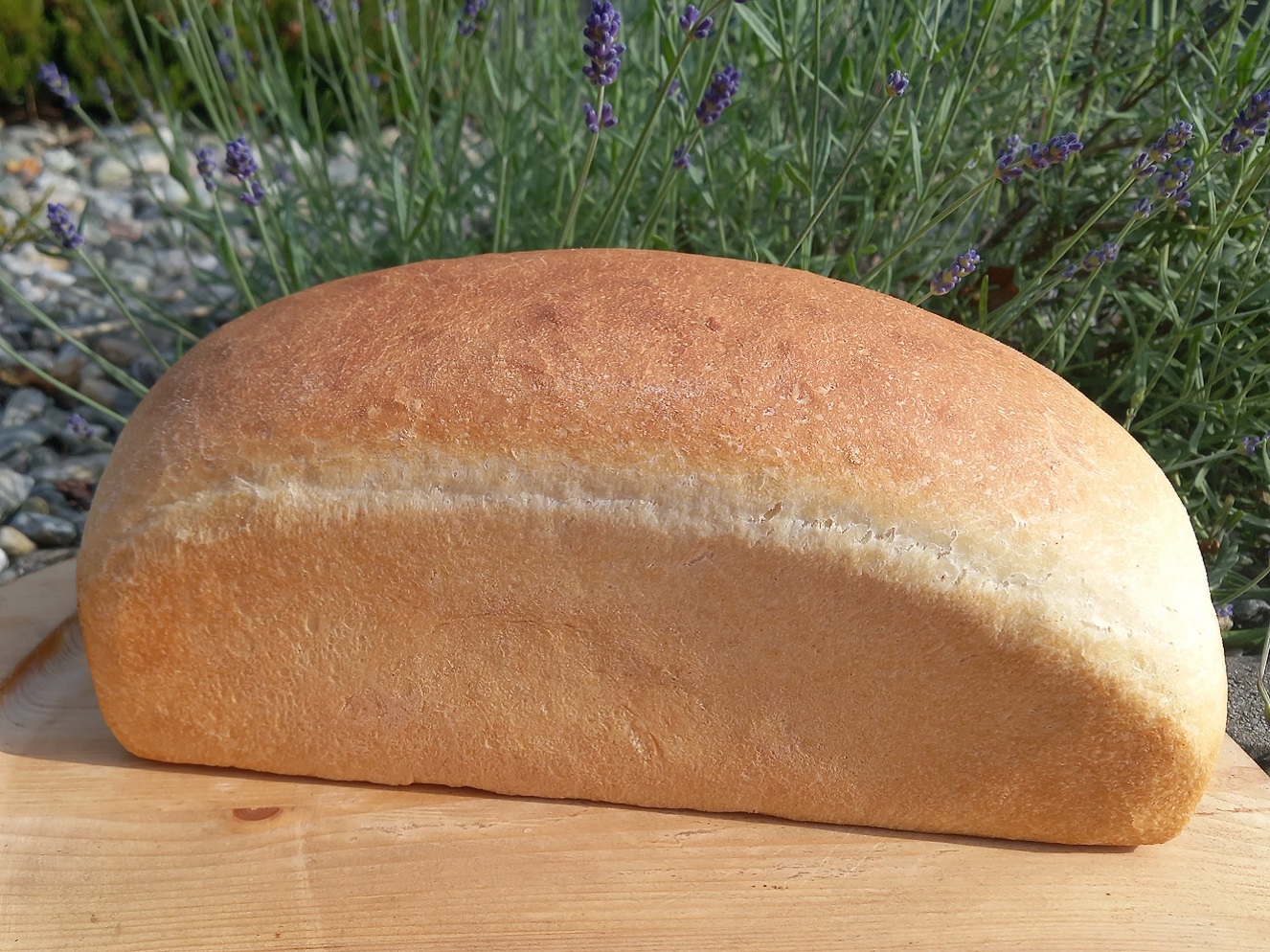 Rychlý toastový chleba