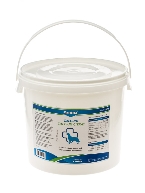 Proč pes potřebuje k životu dostatek vápníku?