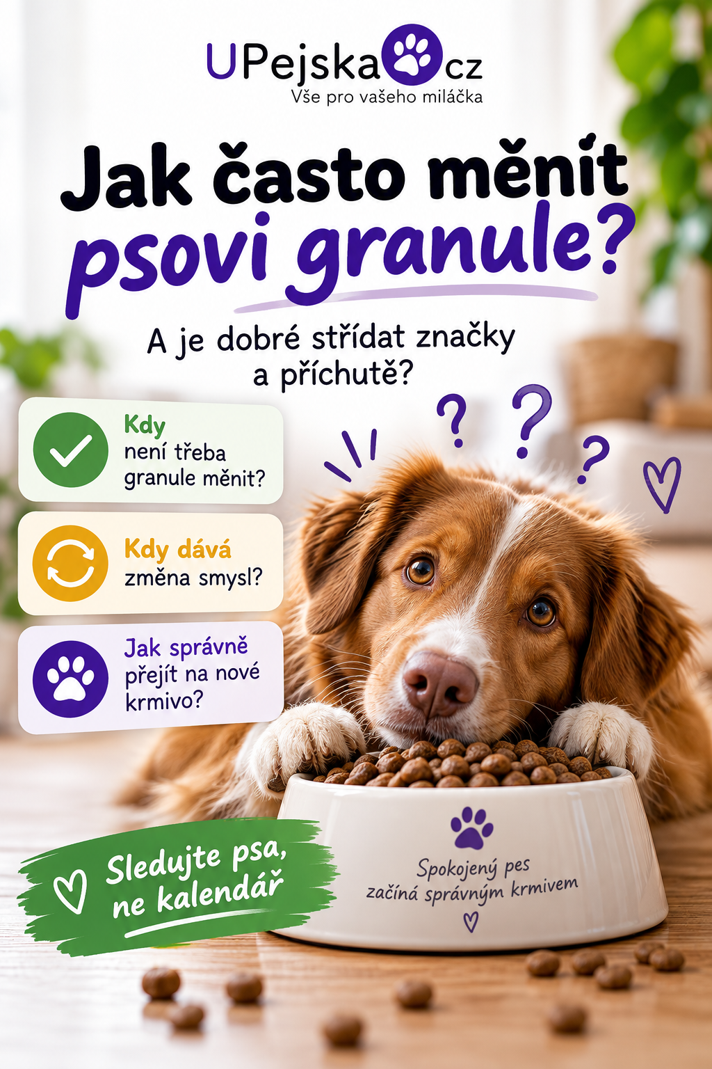Jak často měnit psovi granule? A je dobré střídat značky a příchutě?