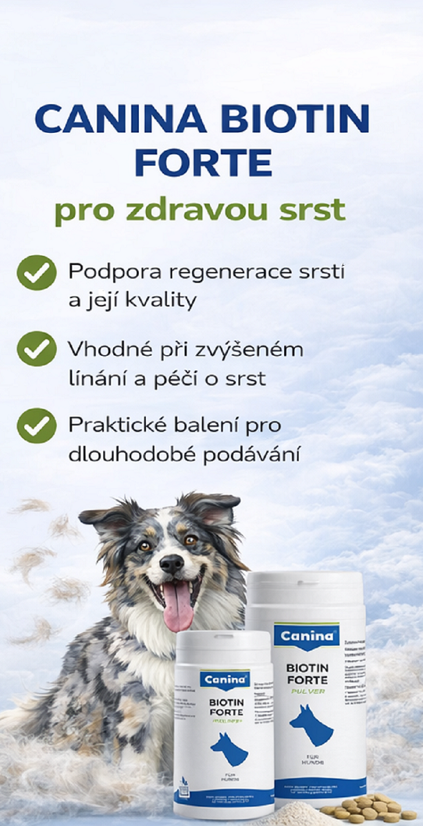 Canina Biotin Forte tbl., plv.